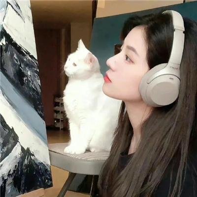 真相背后